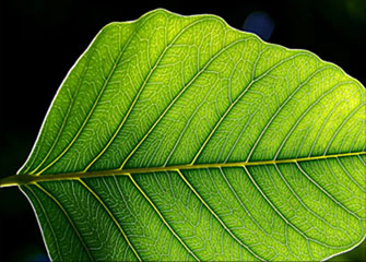 一秒发1000条电话的软件